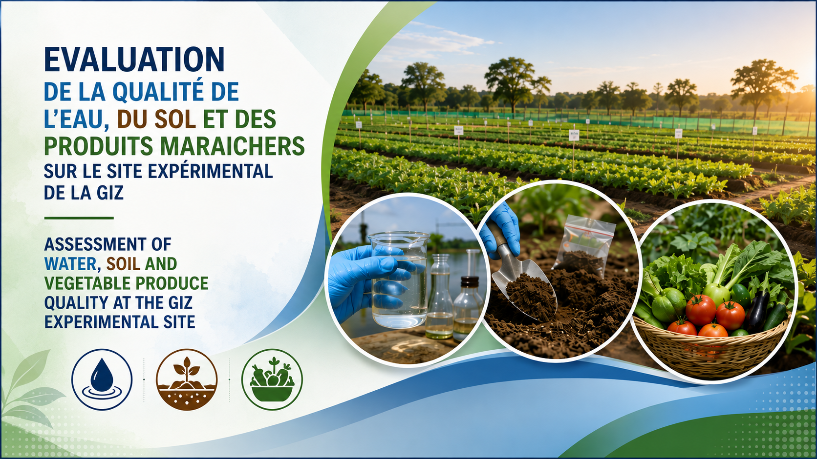 Evaluation de la qualité de l’eau, sol et des produits maraichers sur le site expérimental de la GIZ