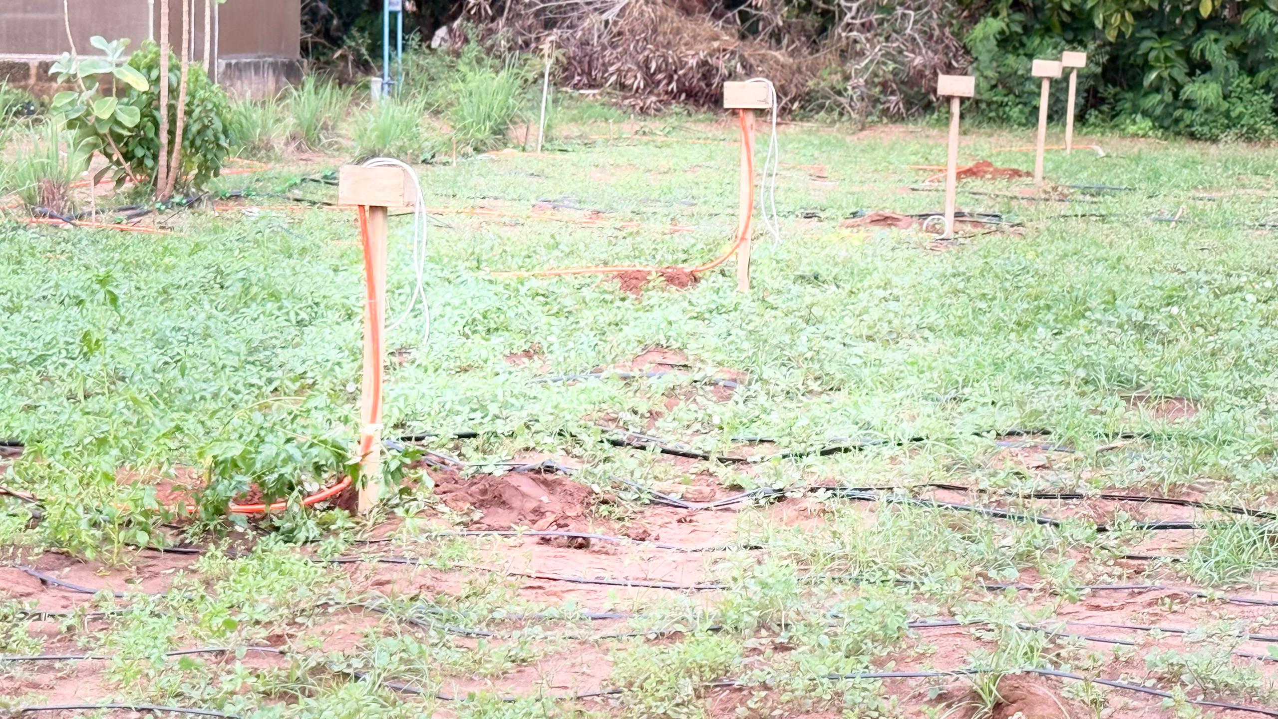 Conception et déploiement d’un système automatisé de suivi des paramètres hydrodynamiques du sol et de gestion de l’irrigation sur des parcelles agricoles au Bénin